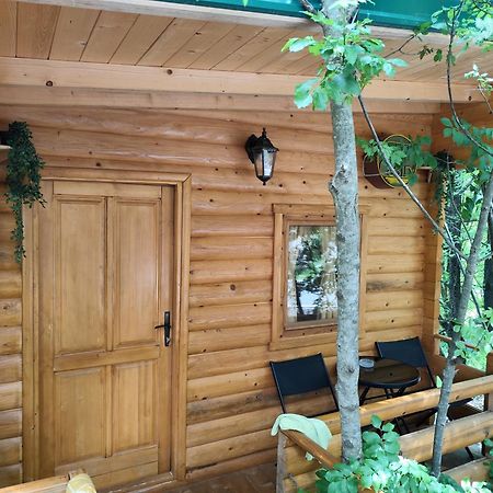 Still Cabin Cetinje Eksteriør billede